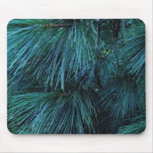 Rustic Pine trees  pine forest  green conifers Mouse Pad