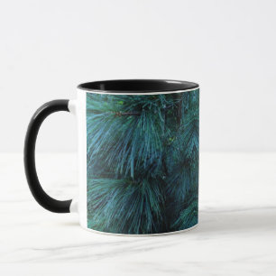 Rustic Pine trees   pine forest   green conifers Mug