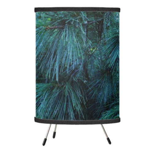 Rustic Pine trees  pine forest  green conifers  Tripod Lamp