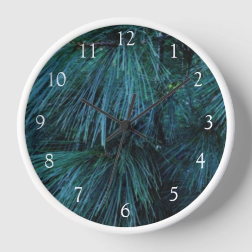 Rustic Pine trees pine forest green evergreen   Clock