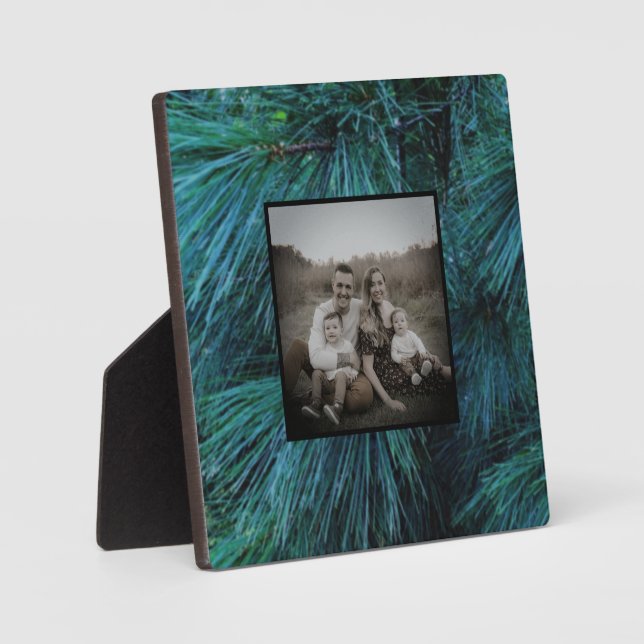 Rustic Pine trees pine forest green evergreen   Plaque (Front)