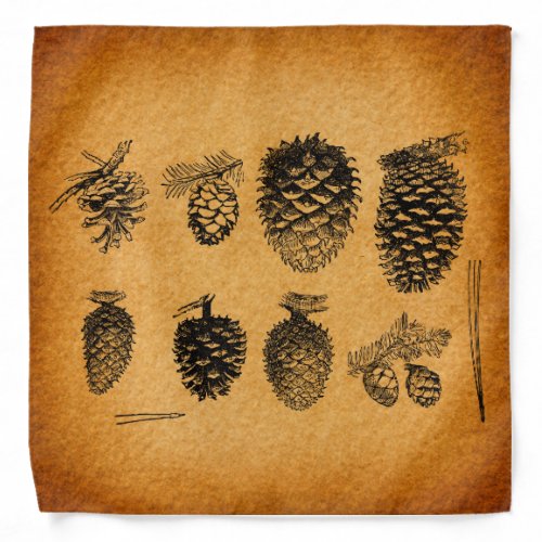 Rustic Pinecones Pine Cone Artwork Antique Design Bandana