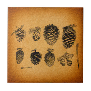 Rustic Pinecones Pine Cone Artwork Antique Design Ceramic Tile