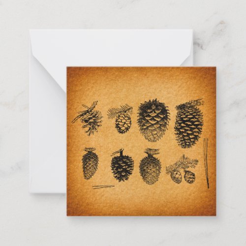 Rustic Pinecones Pine Cone Artwork Antique Design Note Card