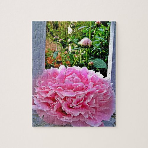 Rustic Pink Peony Garden Pickets Jigsaw Puzzle