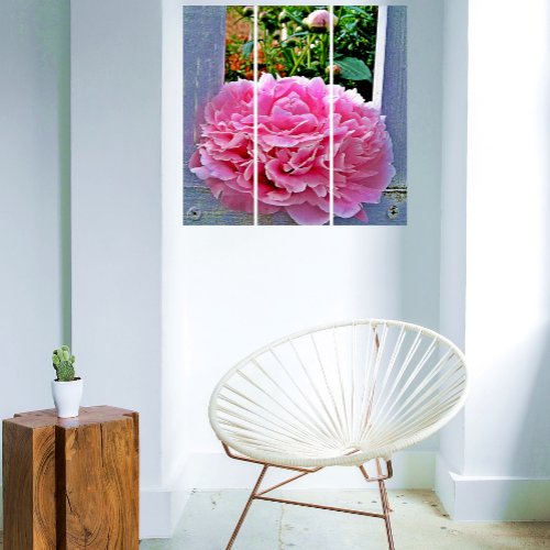 Rustic Pink Peony Garden Pickets Wall Art Triptych