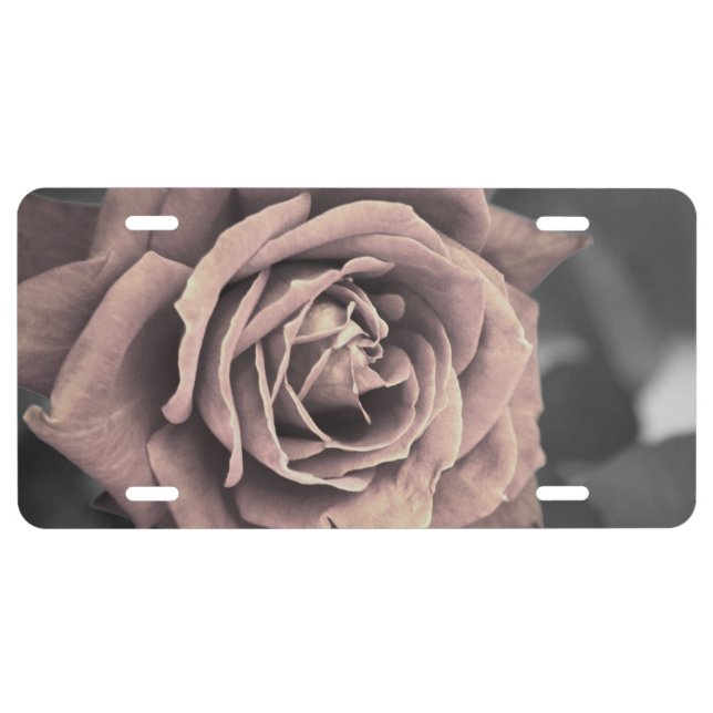 Rustic Pink Rose License Plate (Front)