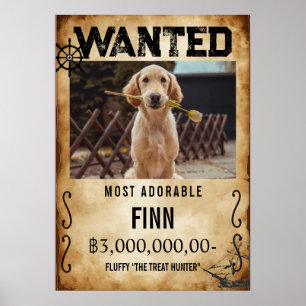 Rustic Pirate Bounty Wanted Poster Pet Dog Poster