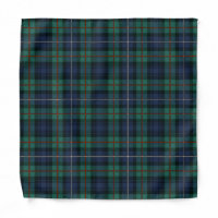Rustic Plaid Robertson Green Tartan