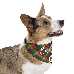Rustic Plaid Script Bone Custom Tartan Pet Bandana Collar