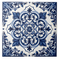 Rustic Portuguese Mediterranean Style