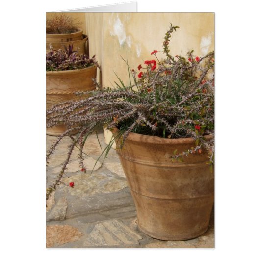 Rustic Pots Card (Front)