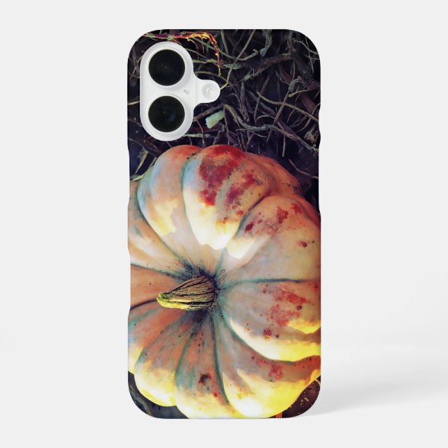 Rustic Pumpkin  Iphone Case (Back)