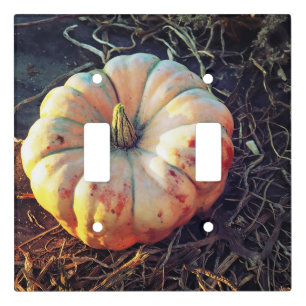 Rustic Pumpkin  Light Switch Cover