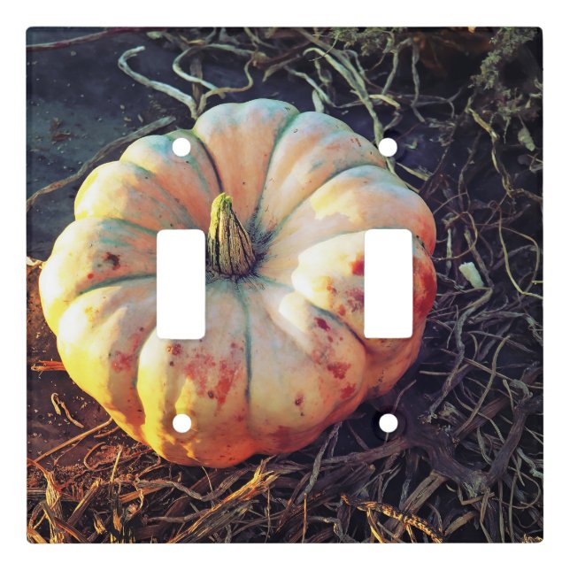 Rustic Pumpkin  Light Switch Cover (Front)