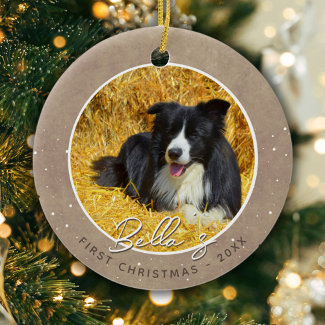 Rustic Puppy First Christmas Dog Photo 