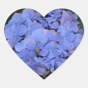 Rustic Purple Hydrangea macrophylla  Heart Sticker