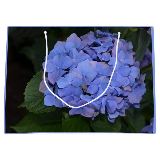 Rustic Purple Hydrangea macrophylla   Large Gift Bag (Front)