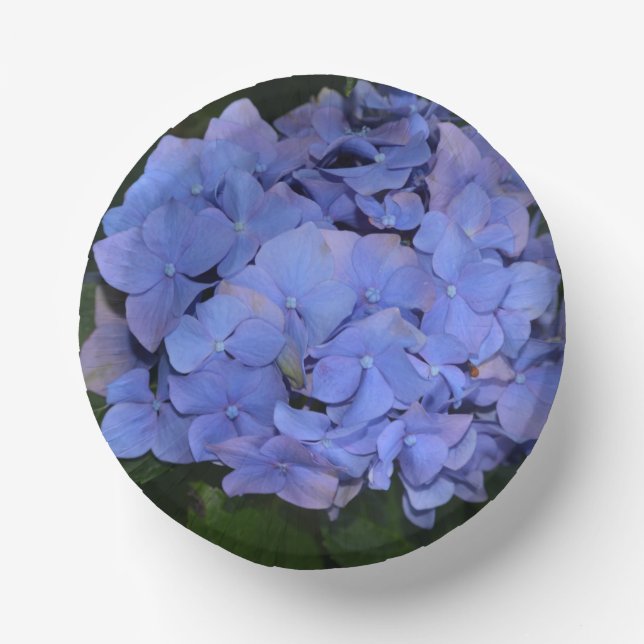 Rustic Purple Hydrangea macrophylla  Paper Bowls (Front)