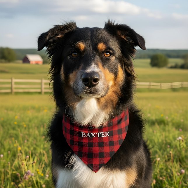 Rustic Red Buffalo Plaid Pet Bandana Collar (Customize to change text size or text style.)