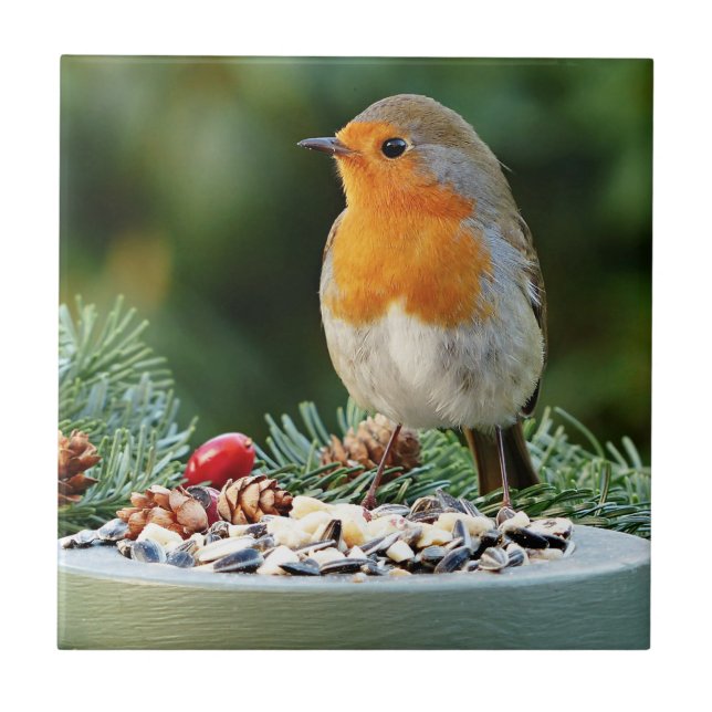 Rustic-Red Robin, Songbird Ceramic Tile (Front)