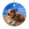 Rustic Red Wood Forever In Our Hearts Paw Pet