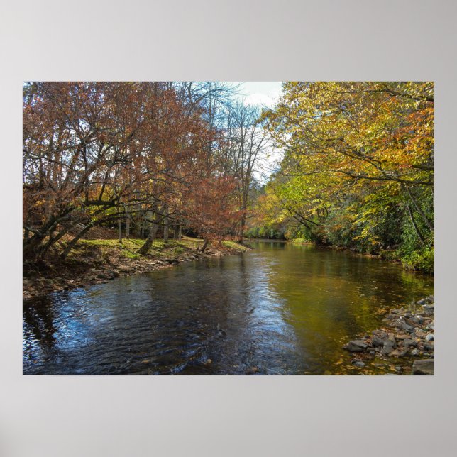 Rustic River Stream Fall Leaves Nature Photography Poster (Front)