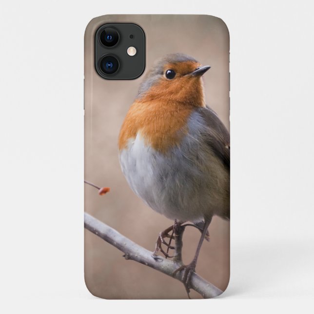 Rustic Robin iPhone 11 Case (Back)