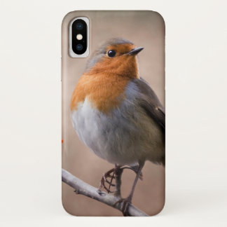 Rustic Robin iPhone X Case