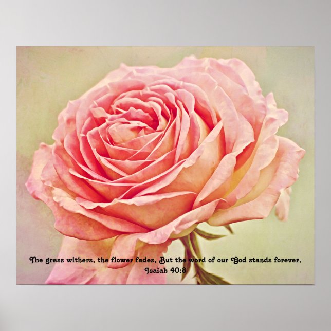 Rustic Rose Bible Verse Photographic Art Print (Front)