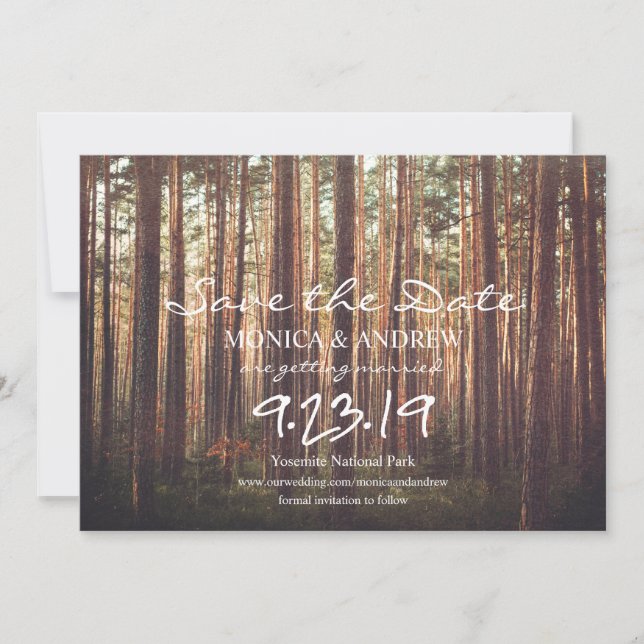 Rustic Save the Date Forest Tree Invitation (Front)