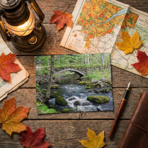 Rustic Serenity: Gleason Falls Road Bridge Postcard