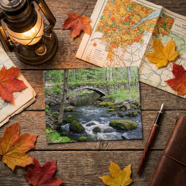 Rustic Serenity: Gleason Falls Road Bridge Postcard (Creator Uploaded)