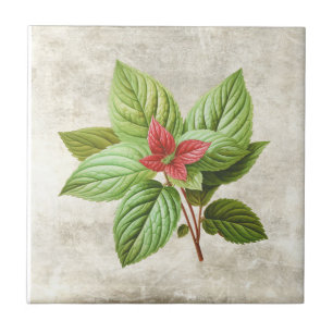 Rustic Shabby Chic Greenery Cottage Ceramic Tile