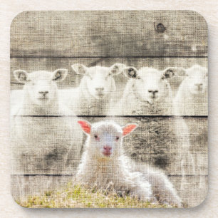 Rustic Sheep Baby Lamb Burlap Beverage Coaster