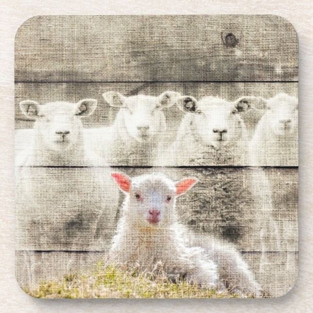 Rustic Sheep Baby Lamb Burlap Beverage Coaster (Front)