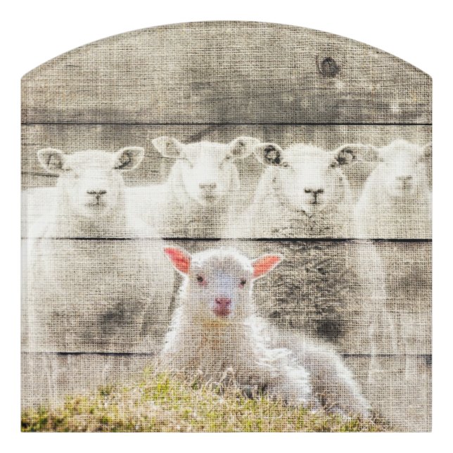 Rustic Sheep Baby Lamb Burlap Door Sign (Contour Front)