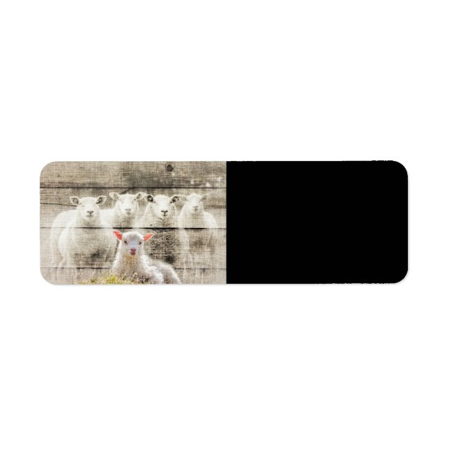 Rustic Sheep Baby Lamb Burlap Label (Front)