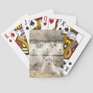 Rustic Sheep Baby Lamb Burlap Poker Cards