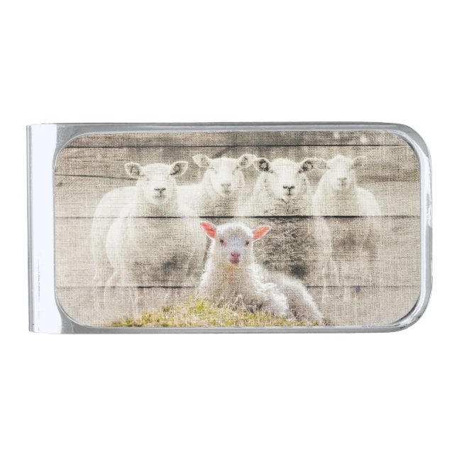 Rustic Sheep Baby Lamb Burlap Silver Finish Money Clip (Front)