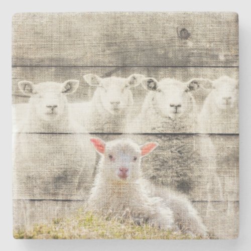 Rustic Sheep Baby Lamb Burlap Stone Coaster