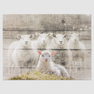 Rustic Sheep Baby Lamb Burlap Tissue Paper