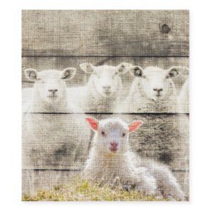Rustic Sheep Baby Lamb Burlap Wine Label