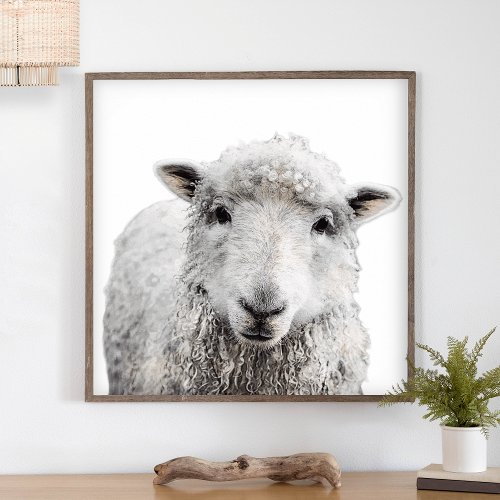 Rustic Sheep Minimalist Modern Country Farmhouse Poster