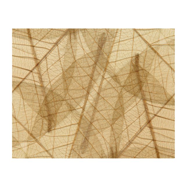 Rustic Sheer Cream Beige Lace Leaves Wood Wall Art (Front)