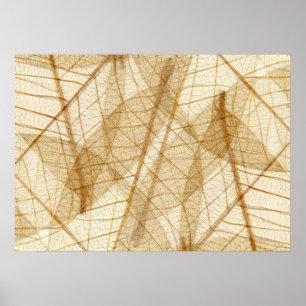 Rustic Sheer Lace Leaves Poster