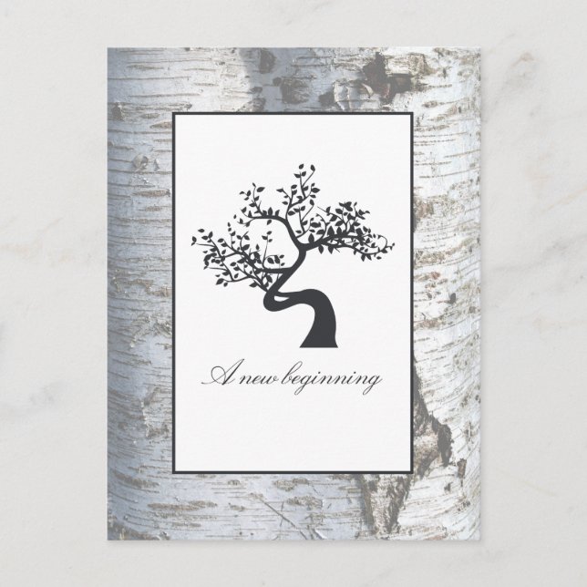 Rustic Silver Birch Tree Baby Announcement Postcard (Front)