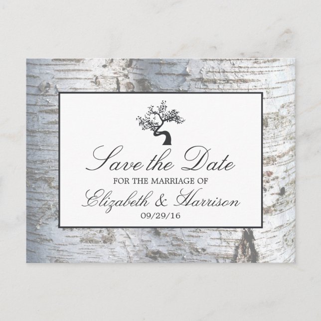 Rustic Silver Birch Tree Save The Date Announcement Postcard (Front)