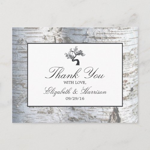 Rustic Silver Birch Tree Wedding Thank You Postcard