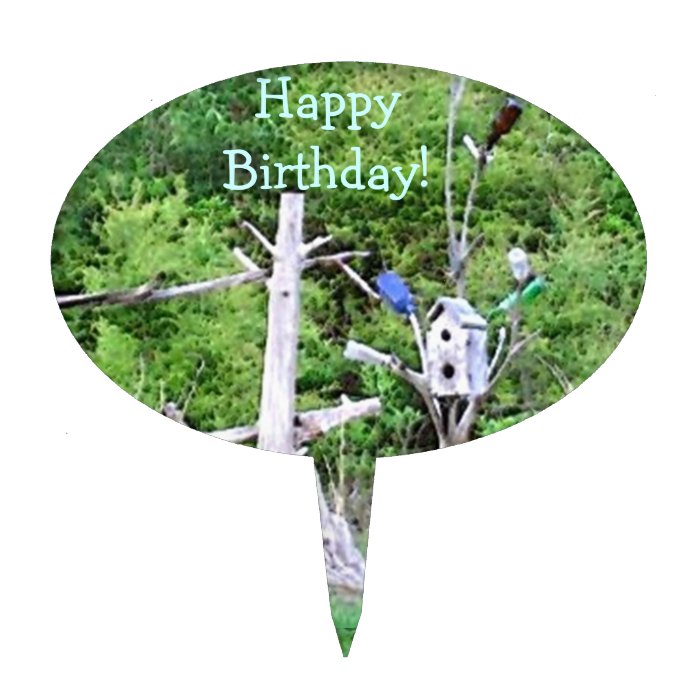 Rustic Southern Bottle Tree Knotted Pine Birdhouse Cake Topper